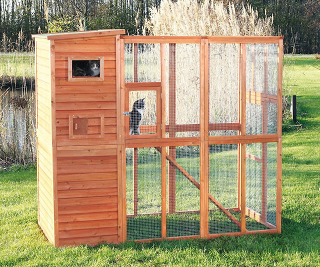 Outdoor Cat Sanctuary