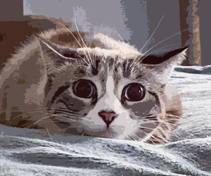 27 Purrr-fect Gifts For Cat Lovers That You Should Purchase Right Meow