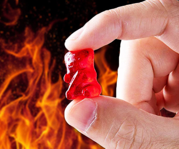The World's Hottest Gummy Bear