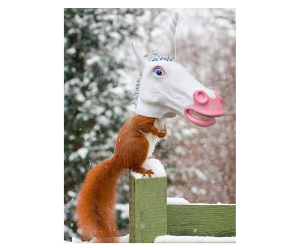 Unicorn Head Squirrel Feeder