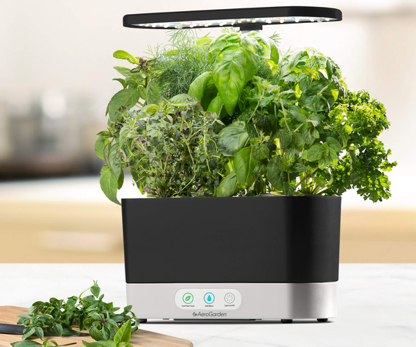 Indoor Herb Garden