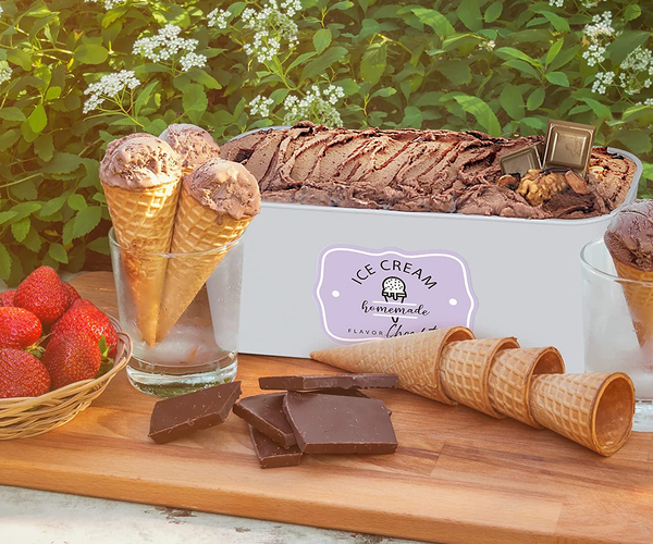 Extra Large Ice Cream Storage Tub