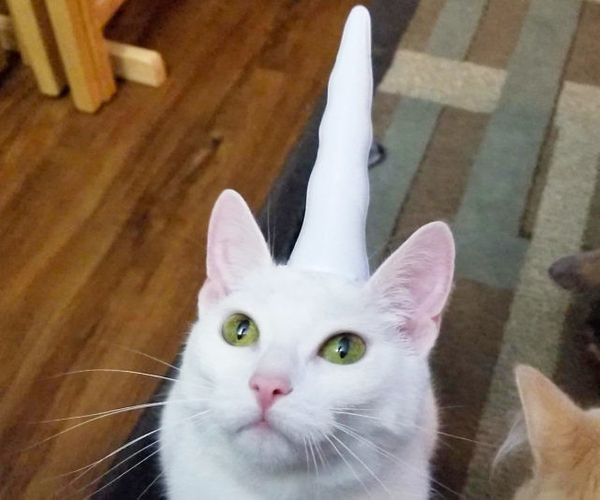 Inflatable Unicorn Horn for Cats