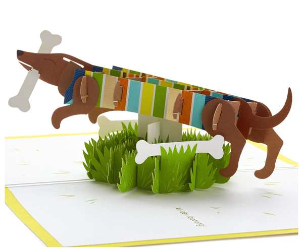Pop Up Dachshund Card