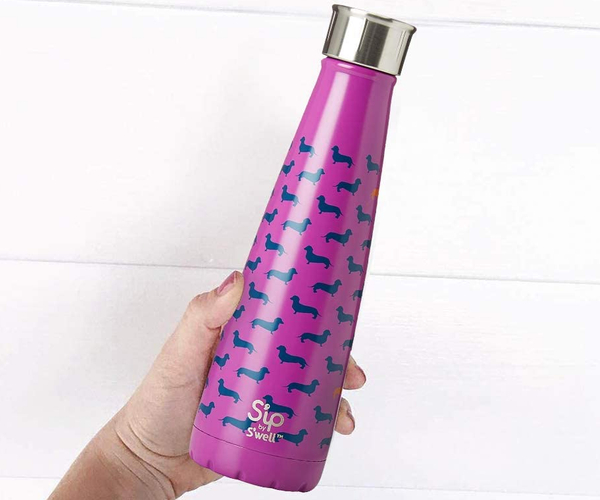 Stainless Steel Doxie Water Bottle