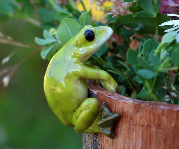 Frog Vase Hugger