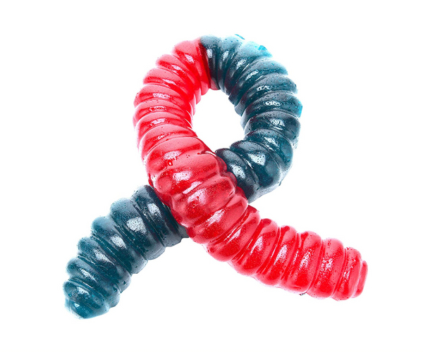 World's Largest Gummy Worm