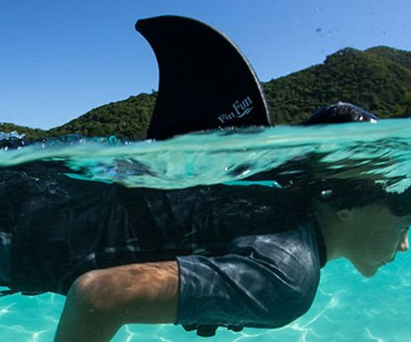 Swimming Shark Fins