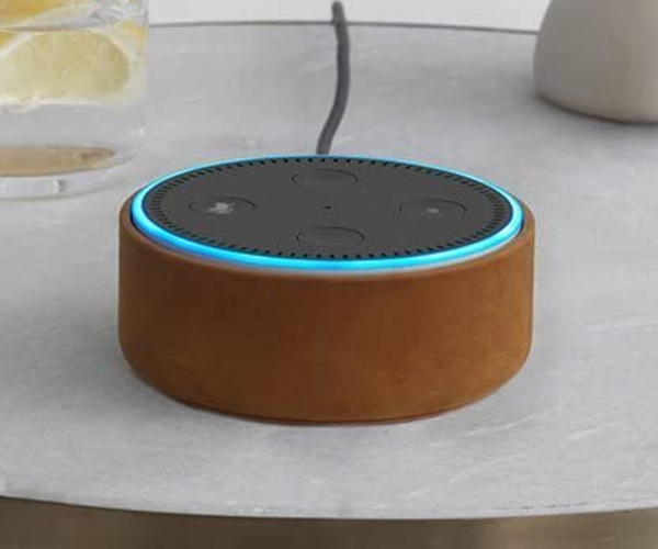 Amazon Echo Dot