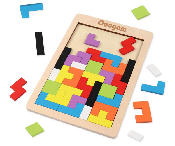 Tangram Brain Teaser Puzzle