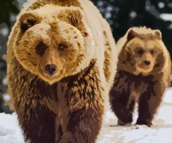 25 Amazing Bear Gifts For Anyone Who Just Loves Everything About Bears