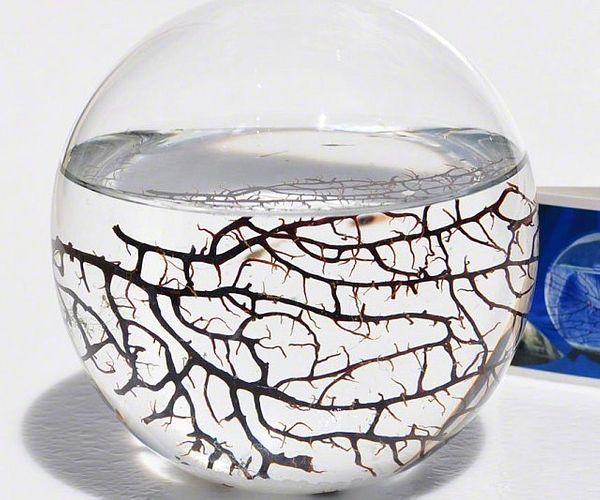 Self-Sustaining Ecosystem