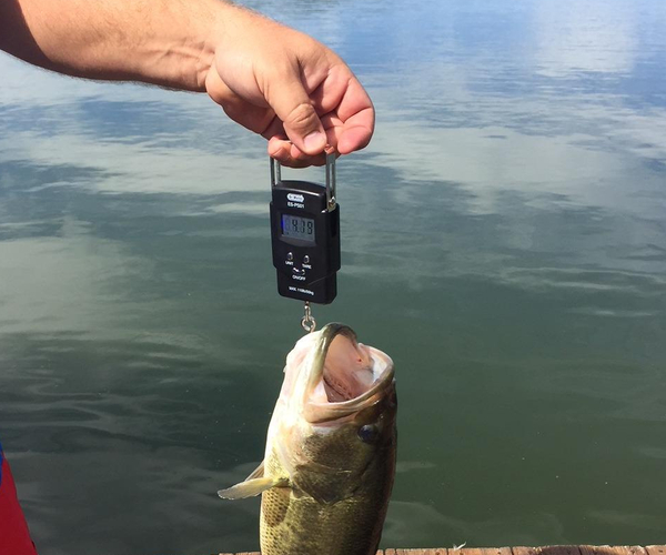 Dr.Meter Portable Fish Weight Scale