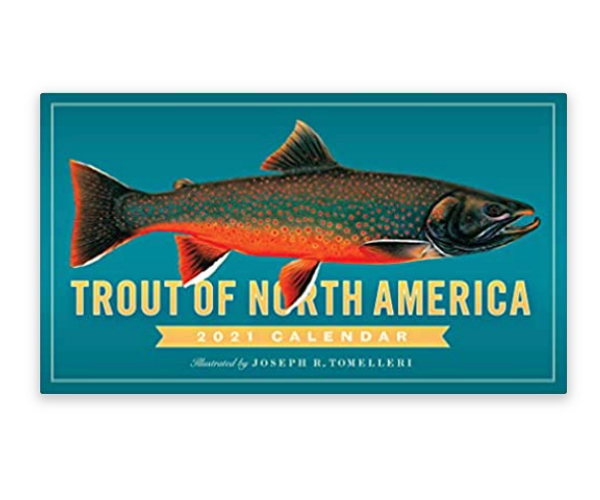 Trout of North America Wall Calendar