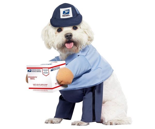 Mail Carrier Dog Costume