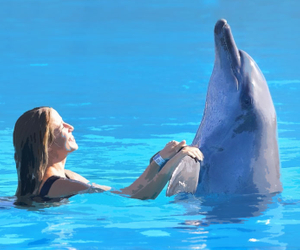 23 Amazing Dolphin Gifts For Anyone Who Just Really Loves Dolphins