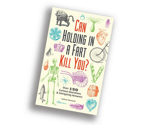 Can Holding in a Fart Kill You?