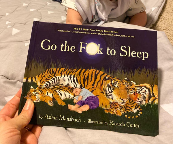 Go The F*ck to Sleep