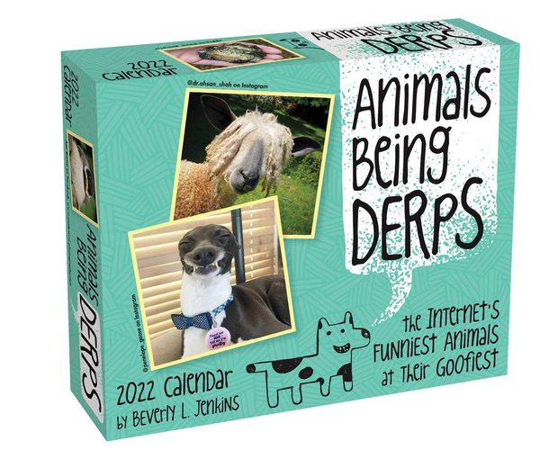 Animals Being Derps Day-to-Day Calendar