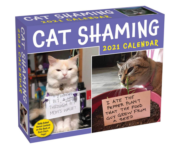 Cat Shaming Day-to-Day Funny Calendar
