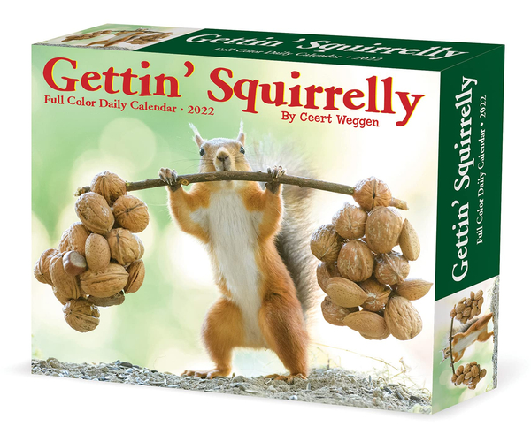 Gettin' Squirrelly Funny Box Calendar