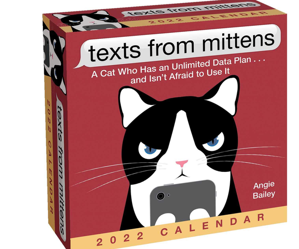 Texts from Mittens the Cat Funny Calendar