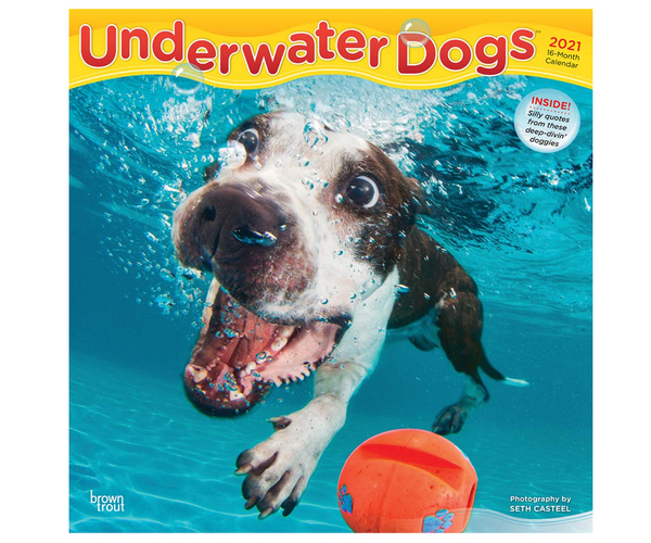 Underwater Dogs Calendar