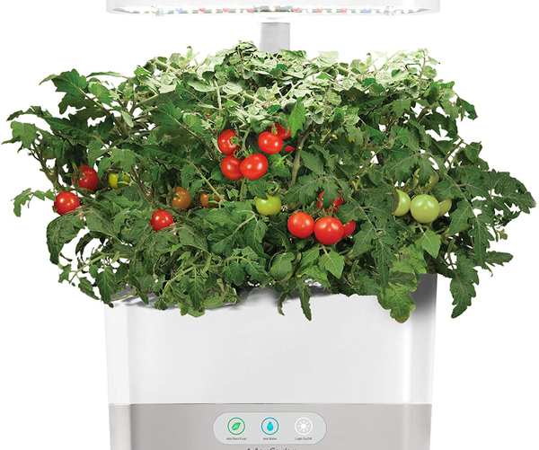 Indoor Herb and Veggie Garden System