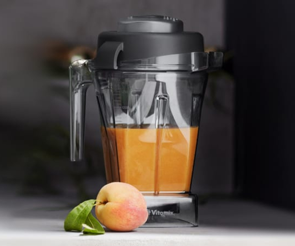 Vitamix Professional Blender
