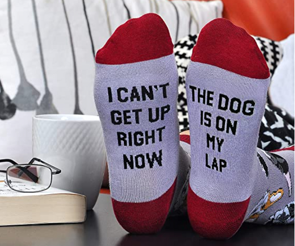 The Dog is on My Lap Socks