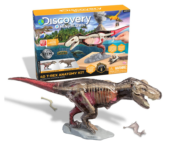 Dinosaur Anatomy Kit