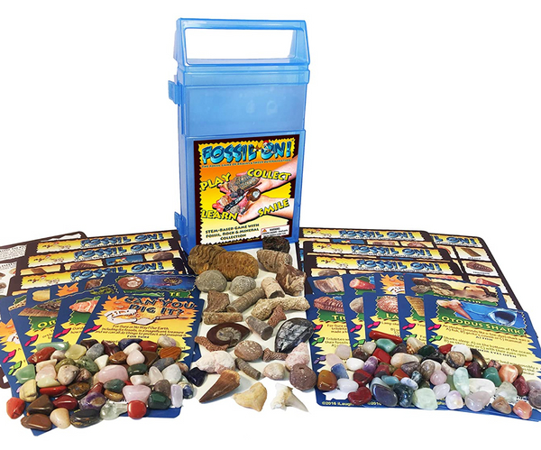 Fossil On! Paleontology Game