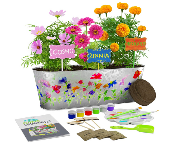 Grow and Learn Garden Kit