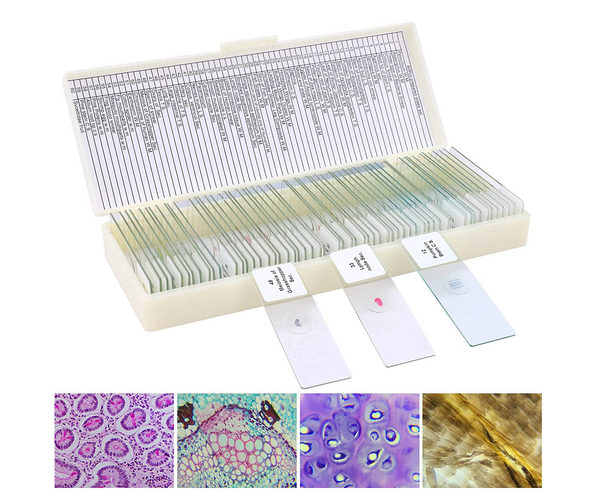 Microscope Slide Kit