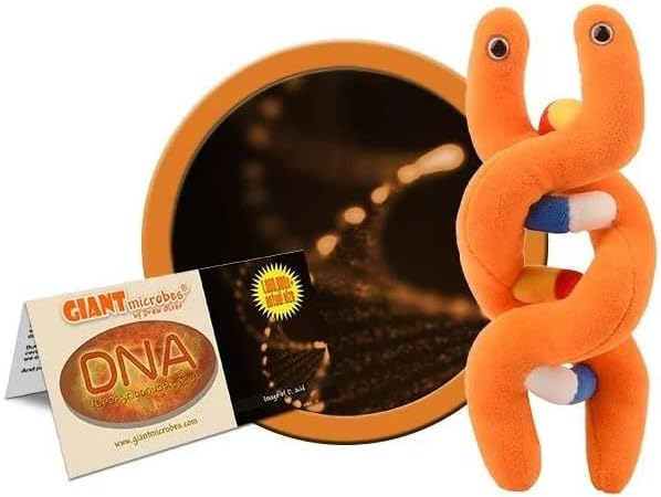 Plush DNA Strand