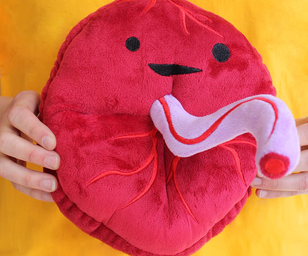 Baby's First Roommate Placenta Plush