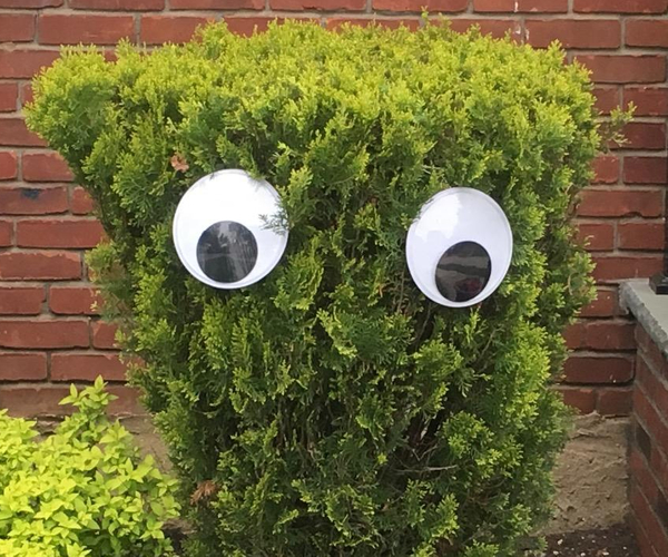 Oversize Googly Eyes