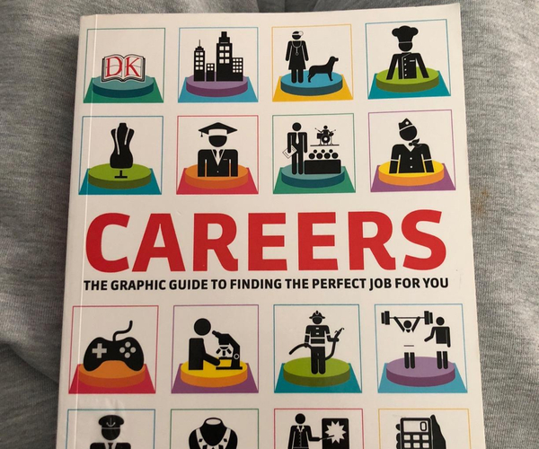Careers: The Graphic Guide to Planning Your Future
