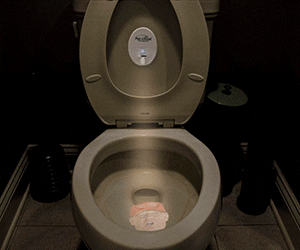 Pee-Litical Targets
