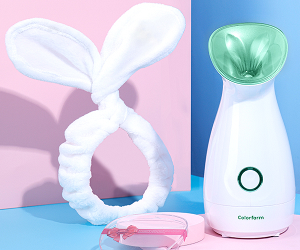 Facial Steamer
