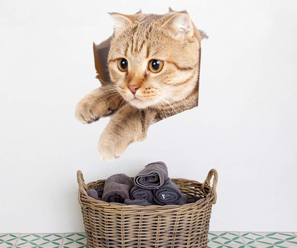 Cat Bursting Through Wall Decals