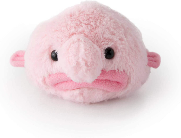 Stuffed Blobfish