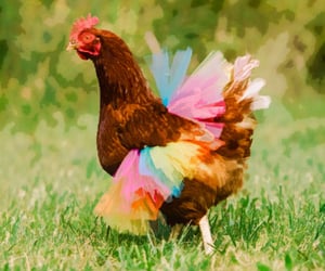21 Cluckin' Awesome Chicken Gifts For Anyone Who Just Loves Chickens