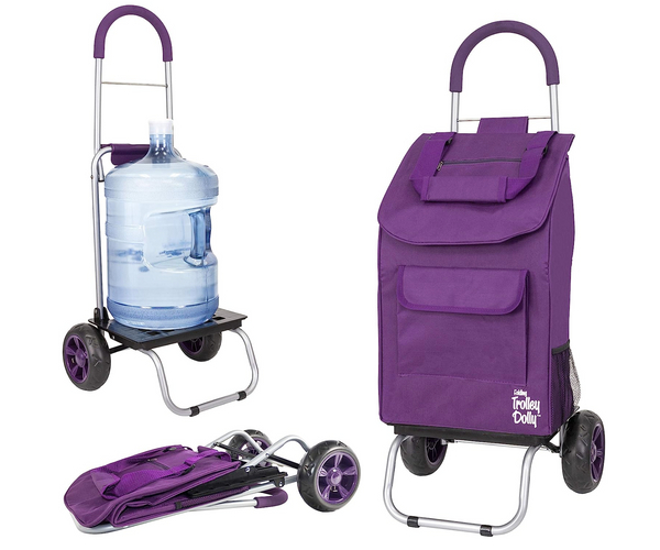 Collapsible Grocery Cart
