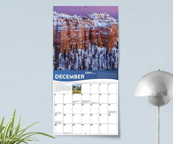 National Park Foundation Wall Calendar