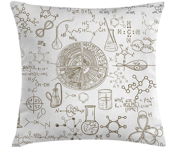 Chemistry Notes Throw Pillow