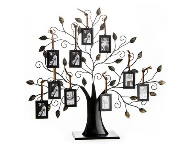 Hanging Family Tree Display