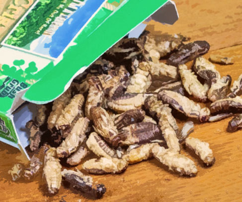 27 Absolutely Disgusting Gifts That Are Guaranteed To Gross Anyone Out