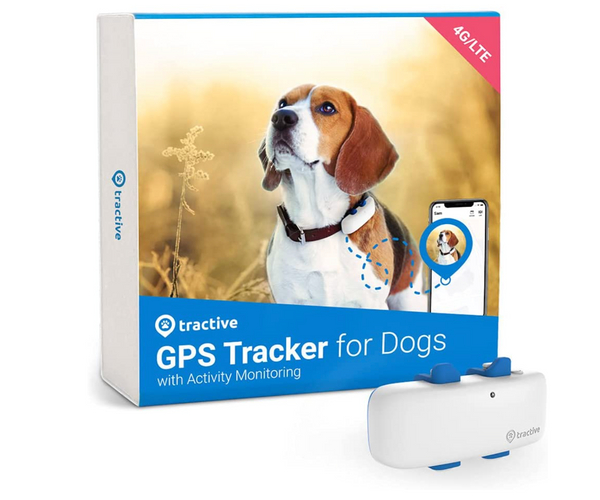 Dog GPS
