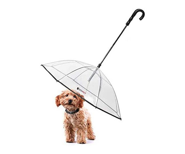 Dog Leash Umbrella